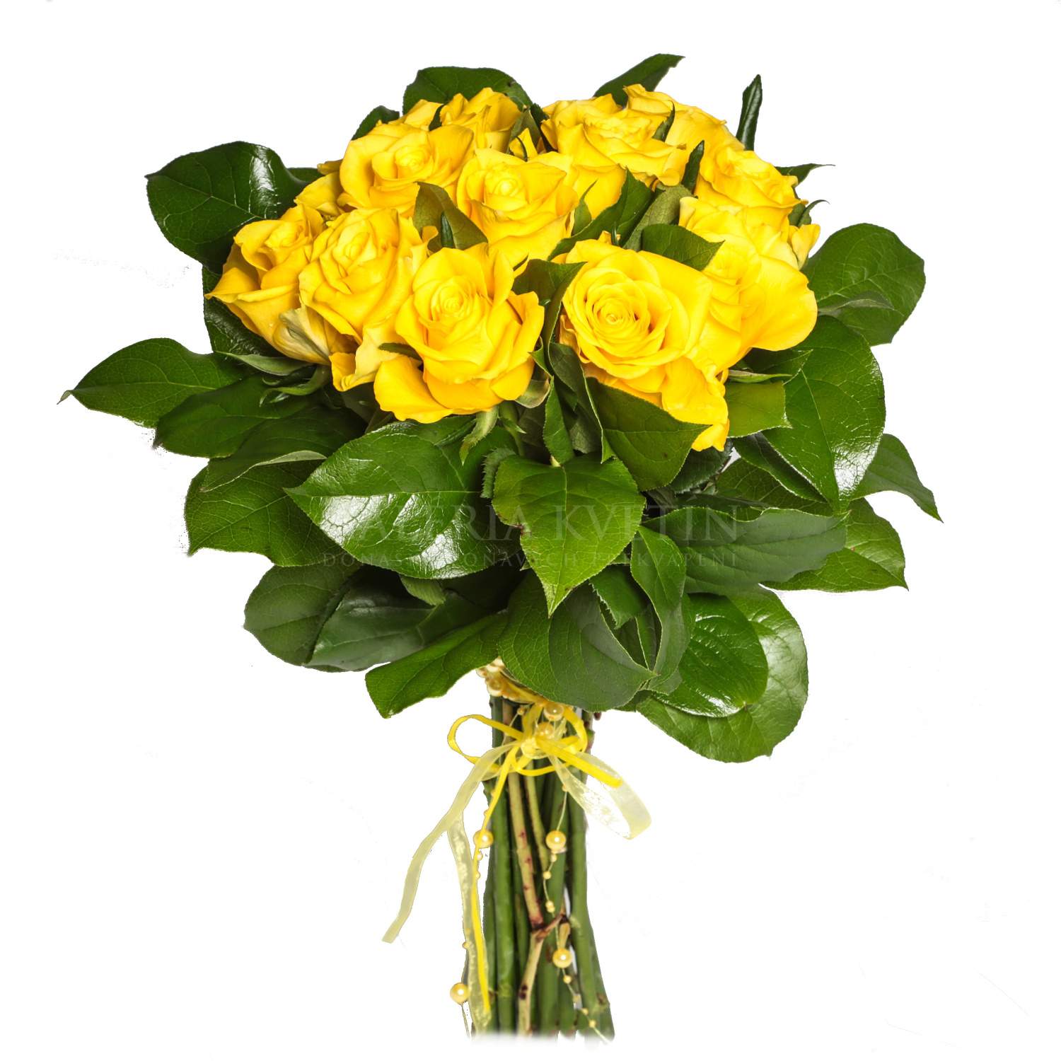 Bouquet of Roses Yellow dozen | Flower Gallery | Galéria Kvetín