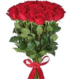 Bouquet of roses (7-100)