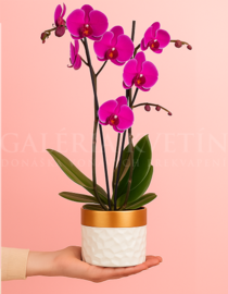 Orchid Magenta