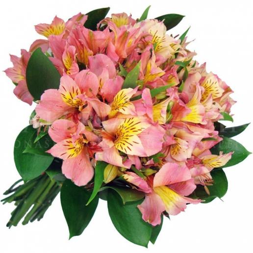 Bouquet from Pink alstroemerias