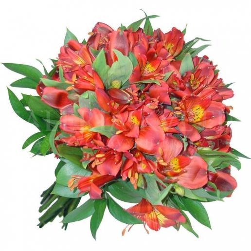 Bouquet from Red alstroemerias