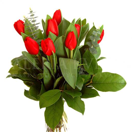 Bouquet Red tulip