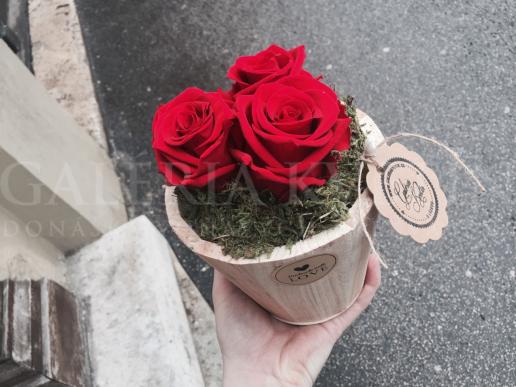 Love of Three roses ❤