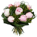 Grand Peony